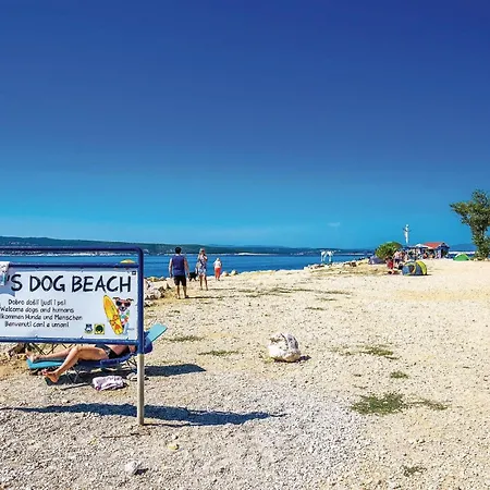 Dom wakacyjny Lovely In With Wifi